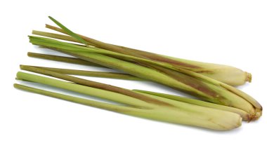 Beyaz arkaplanda taze limon otu izole edildi