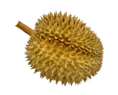 Meyve kralı, kesme yolu ile beyaz arkaplanda izole durian