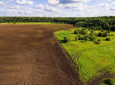 Ormanın ve tarımın kuş bakışı manzarası.