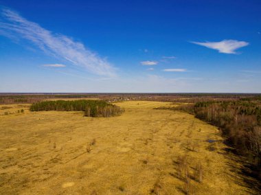Bahar ormanı ve köyün kuş bakışı manzarası...