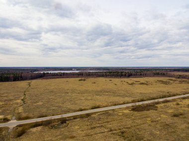 Bahar ormanı ve gölün kuş bakışı manzarası. 