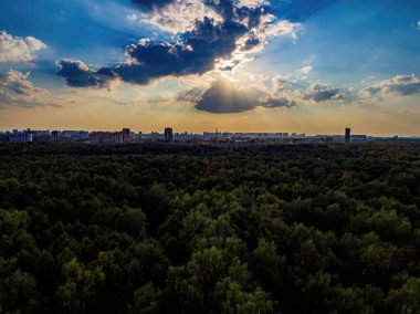 Sonbahar ormanının kuş bakışı manzarası ve bulutların arkasındaki güneş..