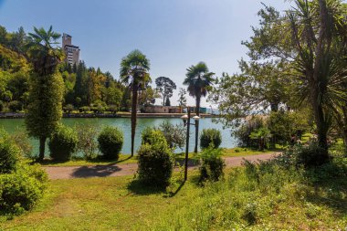 Deniz koyuna bakan mavi gökyüzü olan yaz manzarası. .