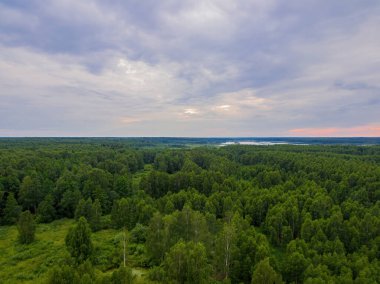 Ormanın kuş bakışı manzaralı yaz manzarası ve uzaktaki göl..