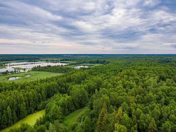 ロシアの森林や湖の鳥の目で見る夏の風景 ロイヤリティフリーのストック画像