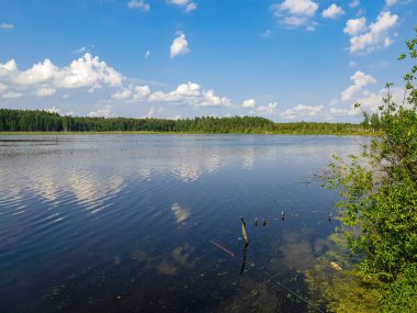 Göle ve ormana bakan mavi gökyüzü ile yaz manzarası. 