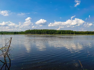 Göl üzerinde mavi gökyüzü olan yaz manzarası.