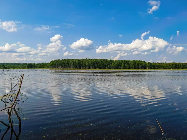 Göl üzerinde mavi gökyüzü olan yaz manzarası.