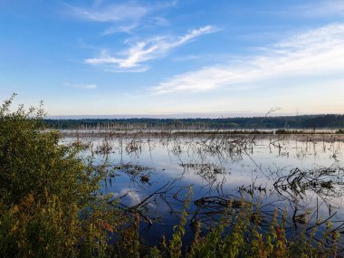 Göl manzaralı manzara.