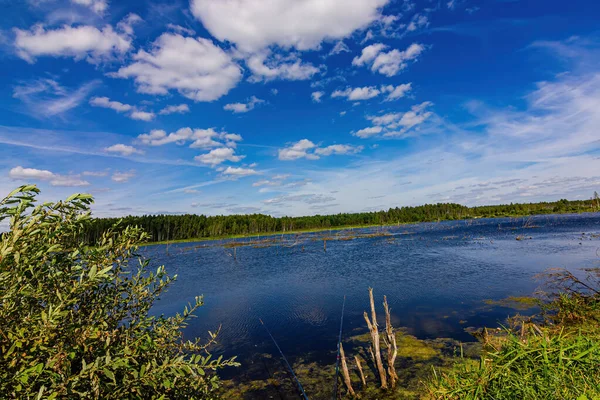 Renkli yaz manzarası Göl üzerinde mavi gökyüzü.