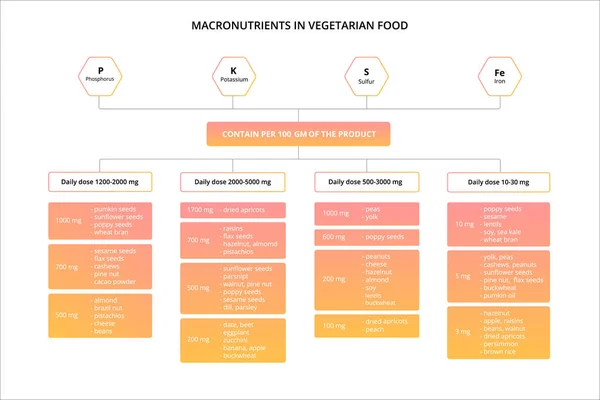 Nutriments Dans Les Aliments Végétariens Schéma Conditionnel Des Minéraux — Image vectorielle