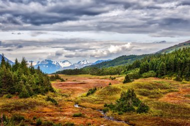 Chugach Dağları'nda Alaskan vahşi aracılığıyla sonbahar sırasında çalışan küçük bir dere doğal peyzaj