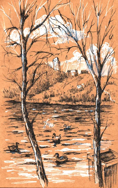 高山湖、アヒルとトウヒの森、スケッチ手描画されたインク シェーディング グラフィック美しい山の風景の背景ビュー — ストック写真