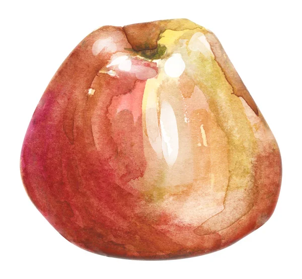 Aquarell handgezeichneter roter Apfel. Isolierte Öko-Naturkost Obst Illustration auf weißem Hintergrund — Stockfoto