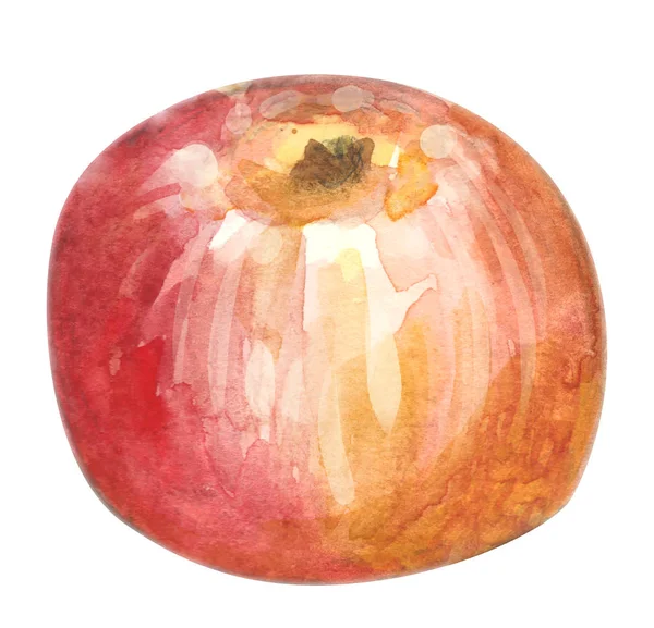 Aquarell handgezeichneter roter Apfel. Isolierte Öko-Naturkost Obst Illustration auf weißem Hintergrund — Stockfoto