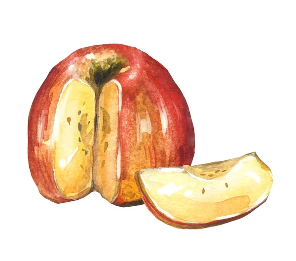 Aquarell handgezeichneter roter Apfel. Isolierte Öko-Naturkost Obst Illustration auf weißem Hintergrund — Stockfoto