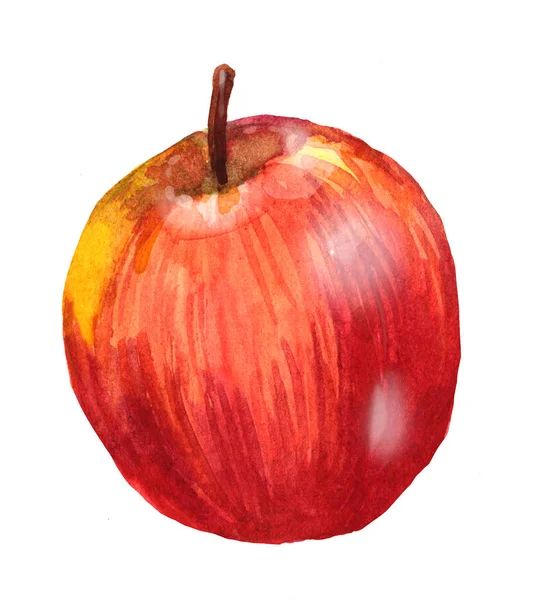 Mão aquarela maçã vermelha desenhada. Isolado eco natural alimento fruta ilustração no fundo branco — Fotografia de Stock