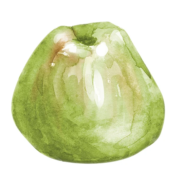 Mão aquarela maçã verde desenhada. Isolado eco natural alimento fruta ilustração no fundo branco — Fotografia de Stock