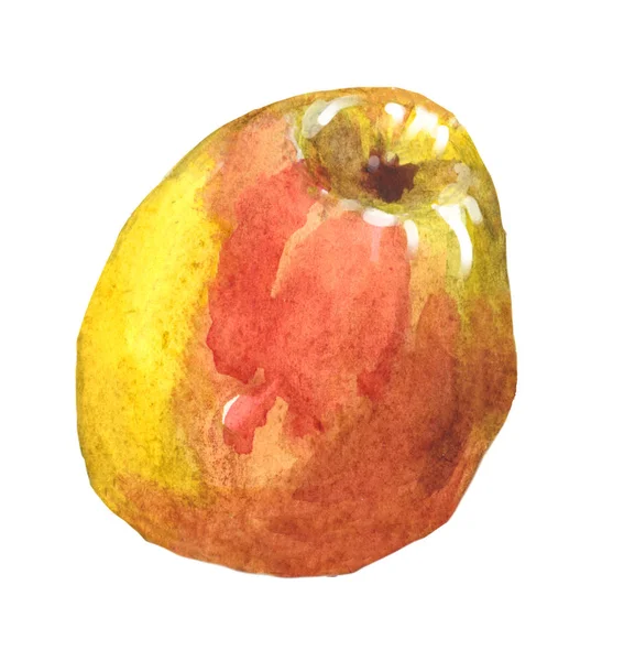 Aquarell Illustration Des Apfels Isoliert Auf Weißem Hintergrund — Stockfoto