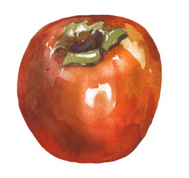 Suluboya Trabzon hurması, elle çizilmiş illüstrasyon izole beyaz arka plan, gıda içerikler, organik doğal vejetaryen meyve tasarım restoran menü, sağlıklı yeşil Pazar için şablon desen