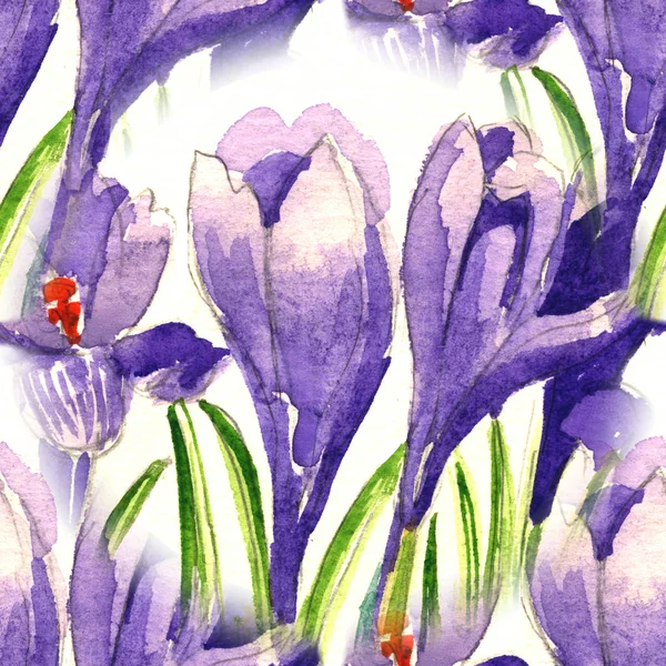 Heldere naadloze patroon aquarel iris bloemen en anemonen. Illustratie — Stockfoto