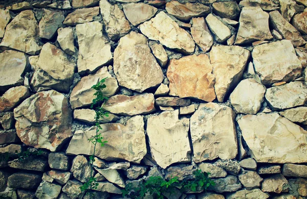 Pattern of modern style design decorative cracked real stone wall — Stock Photo, Image