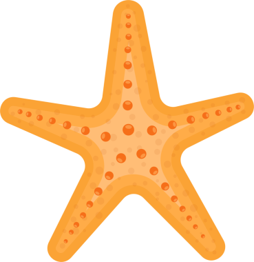 Bu resim beş kollu canlı turuncu bir denizyıldızını gösteriyor. Denizyıldızı bir çizgi film tarzında tasvir edilir ve her uzvu çizerek daireler çizer. Siyah arkaplanda göze çarpıyor..