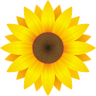 Ayrıntılı bir illüstrasyon, siyah bir arkaplana karşı canlı sarı bir ayçiçeği sunar. Çiçek, koyu kahverengi bir merkezi çevreleyen çeşitli katmanlı taç yapraklarına sahiptir..