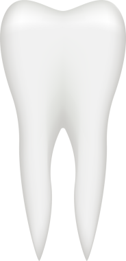 Bu resim, bir azı dişinin detaylı, anatomik olarak doğru bir çizimini içeriyor. Diş siyah bir arkaplana karşı duruyor, şeklini ve yapısını vurguluyor..