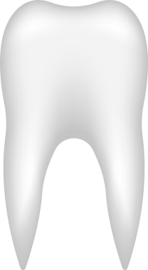 Bu görüntü belirgin bir şekilde koyu arkaplana karşı beyaz bir diş setini gösteriyor. Dişin ayrıntılı şekli anatomisini gösteriyor, yuvarlak dişleri ve belirgin kök yapısı var..