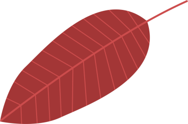 Yaprağın basit bir çizimi çerçeveye hakim olur. Yaprak kırmızımsı-kahverengiye boyanır, belirgin merkezi damar ve yapılandırılmış yan damarlar bulunur..