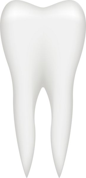 Bu resim, bir azı dişinin detaylı, anatomik olarak doğru bir çizimini içeriyor. Diş siyah bir arkaplana karşı duruyor, şeklini ve yapısını vurguluyor..