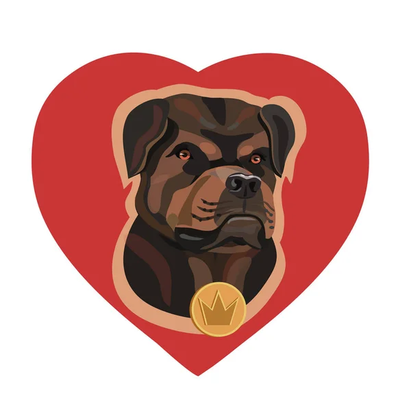 Aşk Köpek Rottweiler Kalplere Love Onlar Iyi Arkadaş Savunucuları Insanlara — Stok Vektör