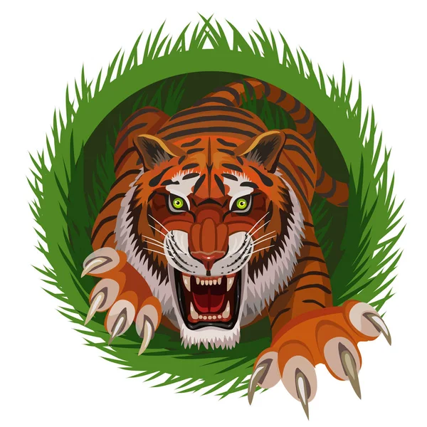 Kaplan avcısı avı için çimlere tırmanıyor saldırgan dır avını yakalamak ve yemek istiyor..