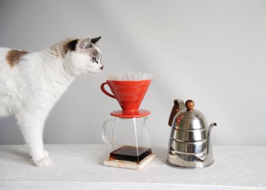 White cat and drip coffee in red pour over. Kettle gooseneck. White background. clipart