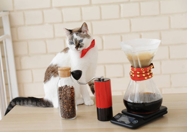 Бариста. Альтернативная ручная варка кофе. Капельный фильтр. Красная кофемолка. Электронная шкала
