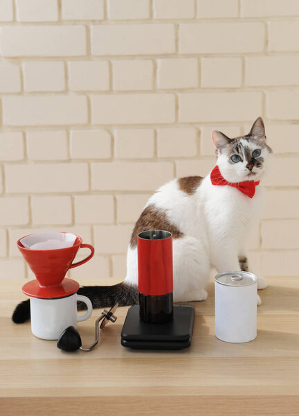 Приготовление кофе вручную. Переливай, молоть, взвешивать. Бариста в красной бабочке. Альтернативный фильтр капельной партии
