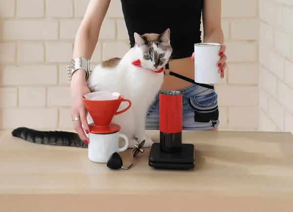 Manual coffee brewing. Pour over, grinder, scale. Barista girl and cat in red bow tie. Alternative drip batch filter