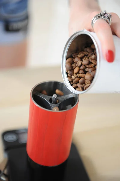 Barista chica vierte granos de café de una lata blanca en un molinillo de café manual rojo de cerca —  Fotos de Stock