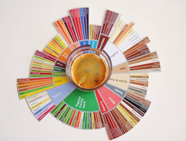 Эспрессо кофе выстрел на дегустаторы вкуса колесо вид сверху. Белый фон
