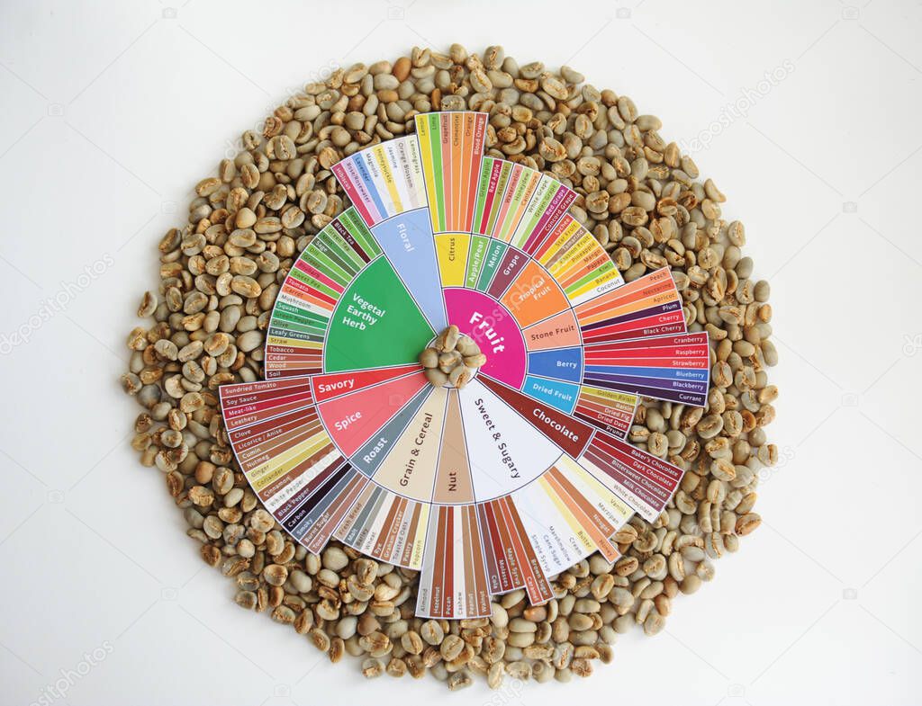 Specialty coffee concept. Raw green coffee beans on taster's flavor wheel. Top view. White background. Third wave coffee