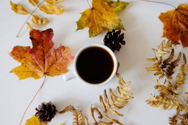 Sonbahar yaprakları ve kozalakların arasında beyaz bardakta sade kahve. Üst görünüm, düzen