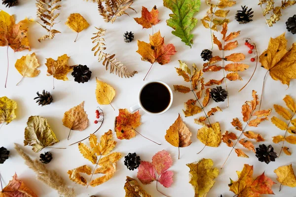 Черный Кофе Белой Чашке Среди Осенних Листьев Шишек Белом Столе — стоковое фото