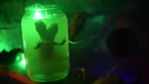 Two Headed Lizard Jar Formalin Glowing Green Highlights Dark Room — Stock Video