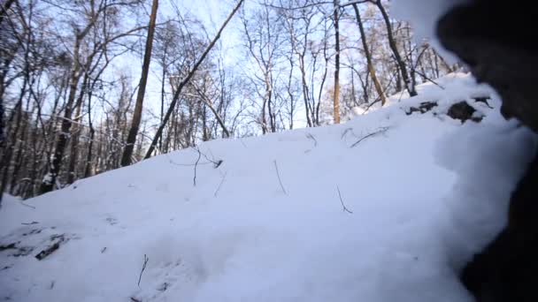 Hombre Con Arma Las Manos Cae Sobre Nieve — Vídeos de Stock