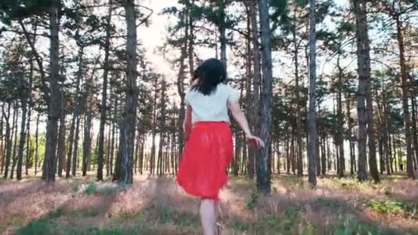 Une jeune belle femme est heureuse de courir parmi de nombreux pins dans les bois. Vue de l'arrière. Mouvement lent 