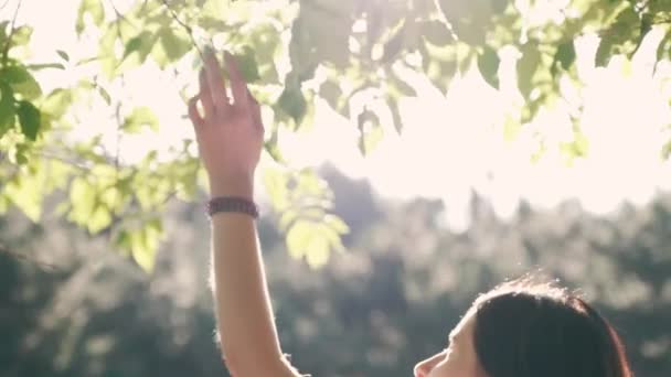 Una joven hermosa mujer toca suavemente las ramas de un árbol, cubierto de verde y brillante en las hojas de la luz del sol — Vídeos de Stock