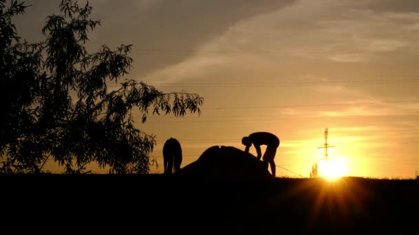 A silhouette of two people, setting a tent against the sunset — Stock Video