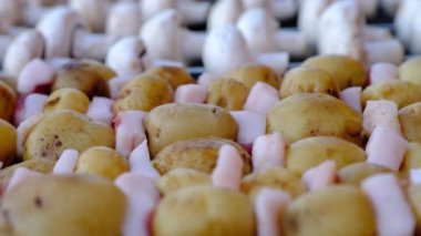 Şiş ve mantar pişirilmeli hazır bir arka plan üzerinde bir görünüm taze patates ve domuz yağı. Sokak gıda.