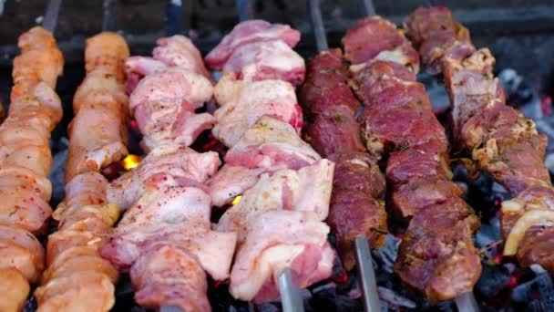 Varios tipos de carne en pinchos se cocinan en un brasero — Vídeo de stock